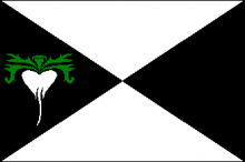Vlag van Lokeren
