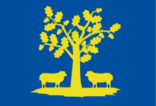 Vlag van Lommel