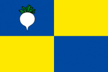 Vlag van Sint-Gillis-Waas