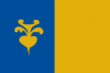 Vlag van Sint-Niklaas