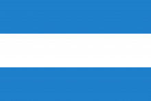 Vlag van Tienen